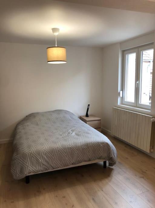 Appartement Moderne & Lumineux 40M2 Centre Luxeuil Экстерьер фото